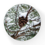 Snowy Pine Cone II Winter Nature Photography Paperweight