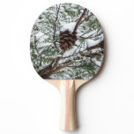 Snowy Pine Cone II Winter Nature Photography Ping Pong Paddle