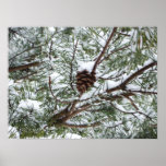 Snowy Pine Cone II Winter Nature Photography Poster