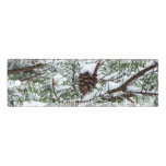 Snowy Pine Cone II Winter Nature Photography Ruler