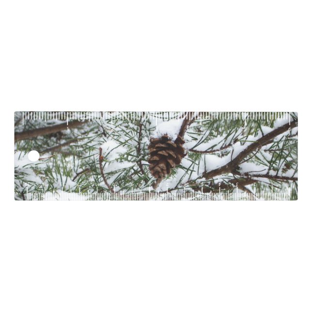 Snowy Pine Cone II Winter Nature Photography Ruler (Front)