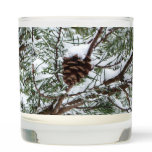 Snowy Pine Cone II Winter Nature Photography Scented Candle