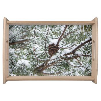 Snowy Pine Cone Ii Winter Nature Photography Serving Tray by mlewallpapers at Zazzle