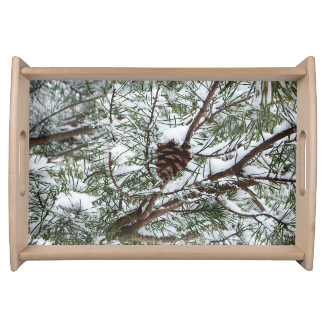 Snowy Pine Cone II Winter Nature Photography Serving Tray (Front)