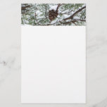 Snowy Pine Cone II Winter Nature Photography Stationery