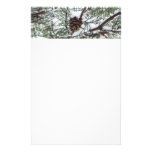 Snowy Pine Cone II Winter Nature Photography Stationery