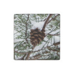 Snowy Pine Cone II Winter Nature Photography Stone Magnet