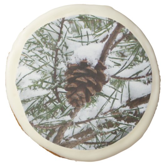 Snowy Pine Cone II Winter Nature Photography Sugar Cookie (Front)