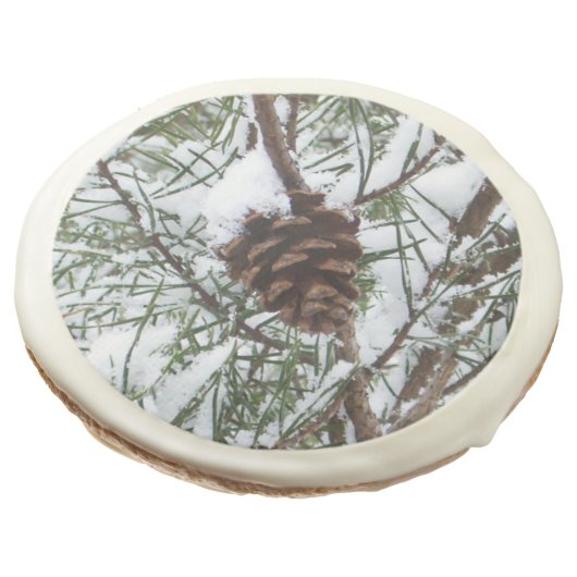 Snowy Pine Cone II Winter Nature Photography Sugar Cookie (Angled)