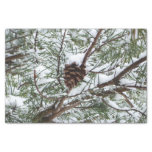 Snowy Pine Cone II Winter Nature Photography Tissue Paper