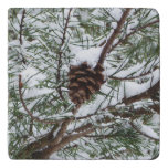 Snowy Pine Cone II Winter Nature Photography Trivet