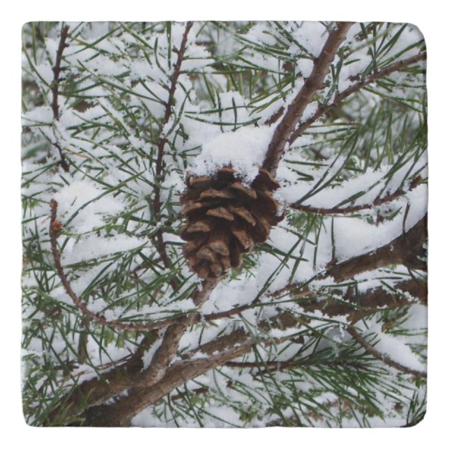 Snowy Pine Cone II Winter Nature Photography Trivet (Front)