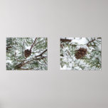 Snowy Pine Cone II Winter Nature Photography Wall Art Sets