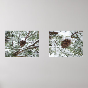 Snowy Pine Cone II Winter Nature Photography Wall Art Sets