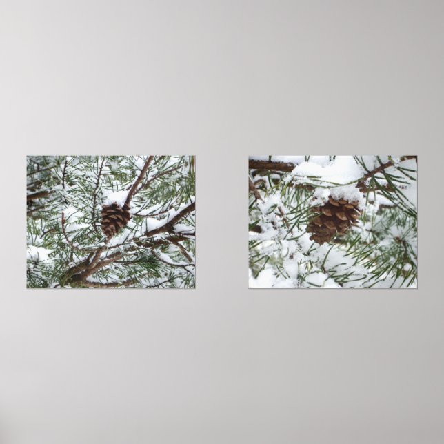 Snowy Pine Cone II Winter Nature Photography Wall Art Sets (Front)