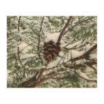 Snowy Pine Cone II Winter Nature Photography Wood Wall Art