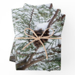 Snowy Pine Cone II Winter Nature Photography Wrapping Paper Sheets