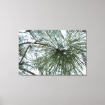 Snowy Pine Needles Winter Nature Photography Canvas Print