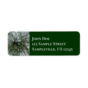 Snowy Pine Needles Winter Nature Photography Label