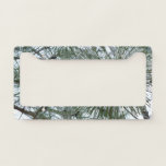 Snowy Pine Needles Winter Nature Photography License Plate Frame