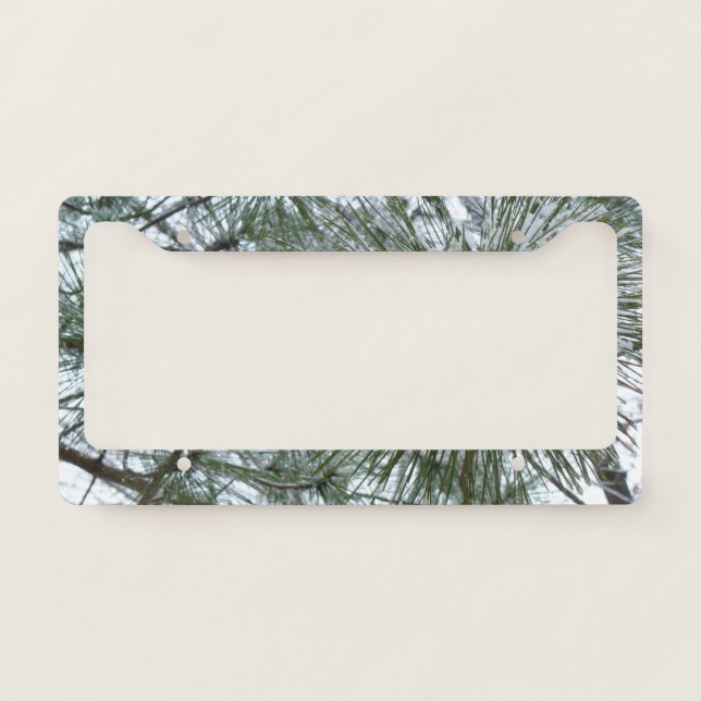 Snowy Pine Needles Winter Nature Photography License Plate Frame (Front)