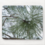 Snowy Pine Needles Winter Nature Photography Mouse Pad