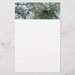 Snowy Pine Needles Winter Nature Photography Stationery