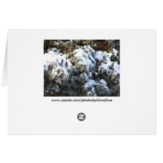 Snowy Pine Tree, Warm Winter Wishes (Back Horizontal)