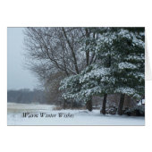 Snowy Pine Tree, Warm Winter Wishes (Front Horizontal)