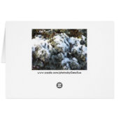 Snowy Pine Tree, Warm Winter Wishes Cards (Back Horizontal)