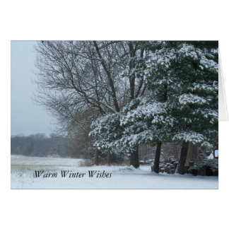 Snowy Pine Tree, Warm Winter Wishes Cards