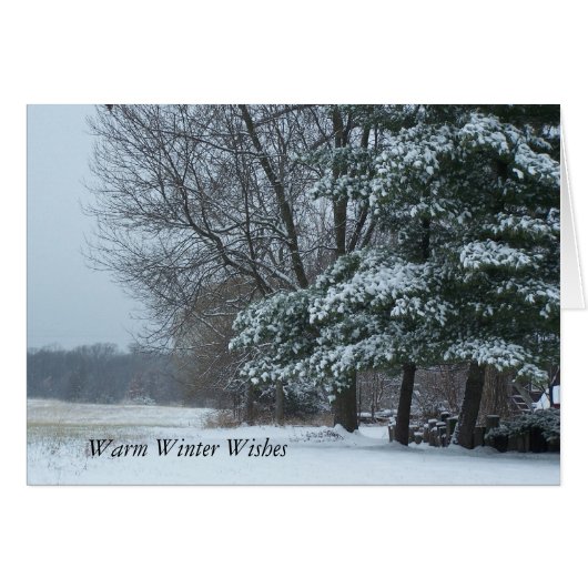 Snowy Pine Tree, Warm Winter Wishes Cards (Front Horizontal)