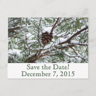Snowy Pinecone Save the Date Announcement Postcard