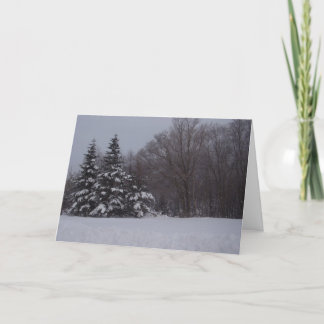 Snowy Pines Holiday Card