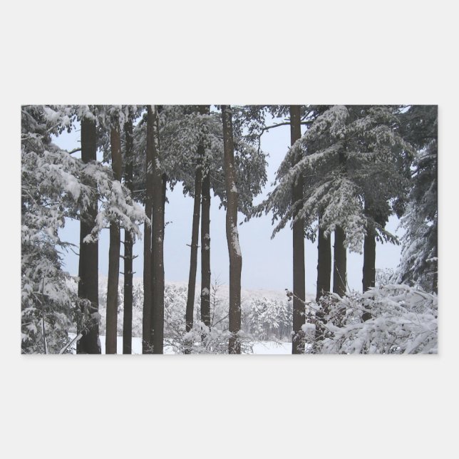 Snowy Pines in Blue Light --- Rectangular Sticker (Front)