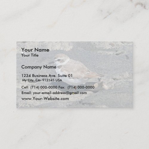 Snowy plover business card template