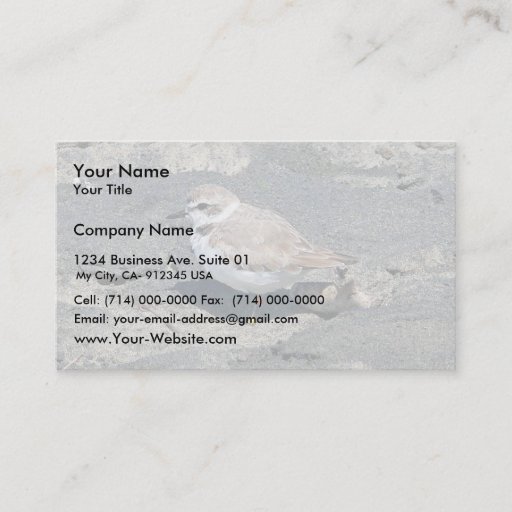 Customizable Snowy plover business card template