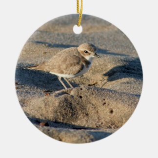 Snowy Plover Ceramic Ornament