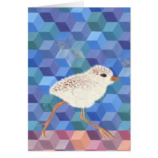 Snowy Plover Chick Cards (Front)