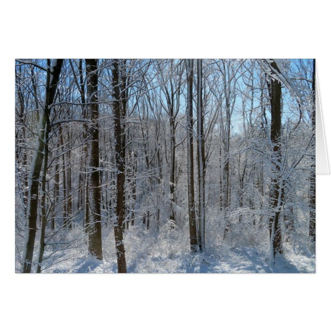 Snowy Poplar Forest I  Cards (Front Horizontal)
