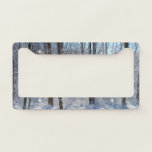 Snowy Poplar Forest I License Plate Frame