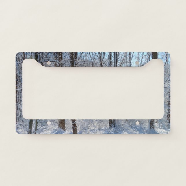 Snowy Poplar Forest I  License Plate Frame (Front)