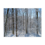 Snowy Poplar Forest I Postcard
