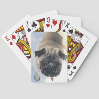 Snowy Pug Deck of Cards
