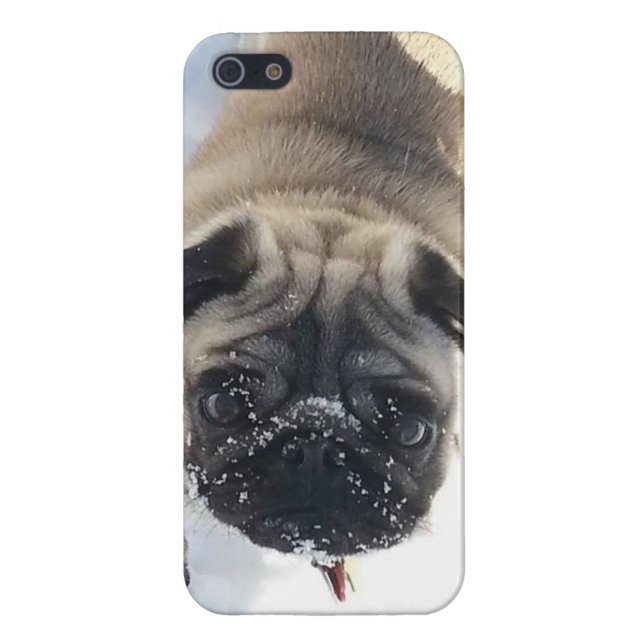 Snowy Pug iPhone 5/5s glossy case (Back)