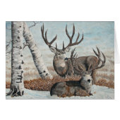 Snowy ridge bucks (Front Horizontal)