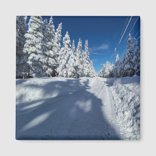 snowy road magnet