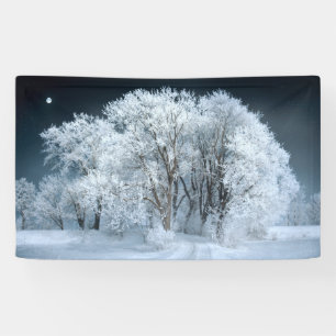 Snowy Road through Frosted Trees Banner