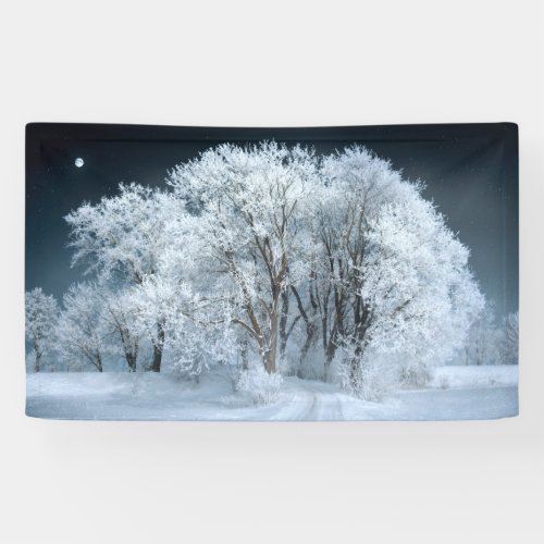 Snowy Road through Frosted Trees Banner