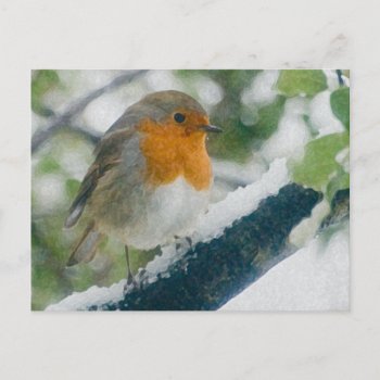 Snowy Robin Postcard by Welshpixels at Zazzle